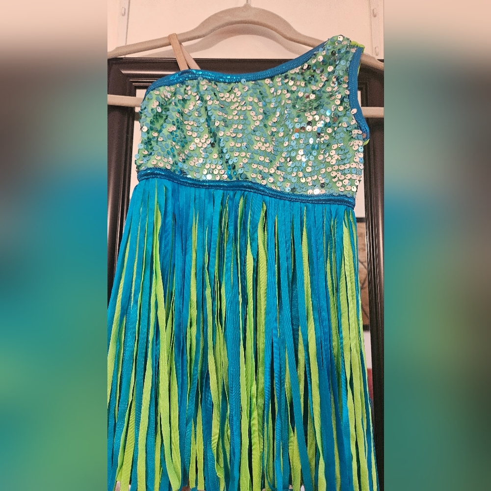 Algy Dance Costume - Green and Blue Sequin Fringe Dress